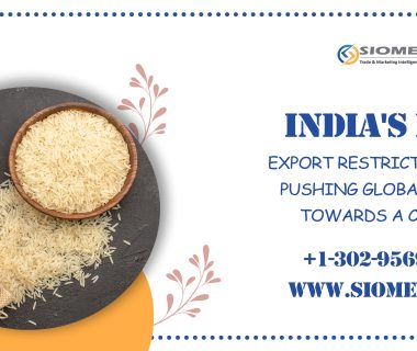 India's rice export
