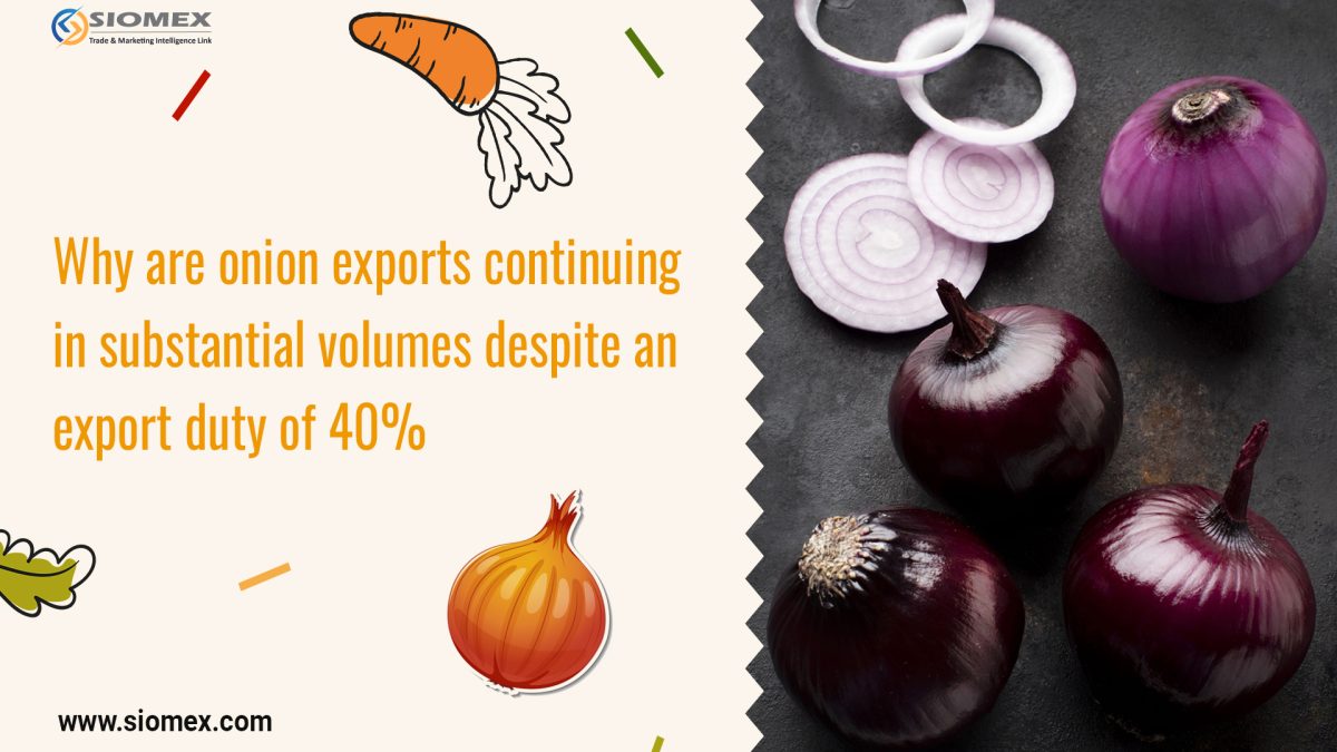 onion exports