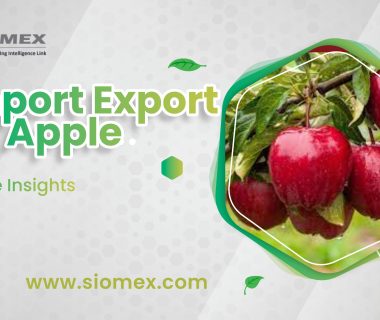 Global Apple Import Export Data and Trade Insights.