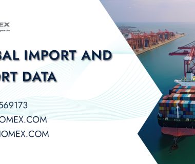 Export Import Data India