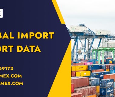 Export Buyer Data
